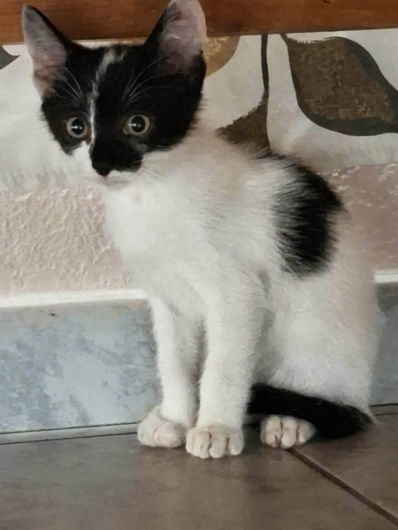 Smudge